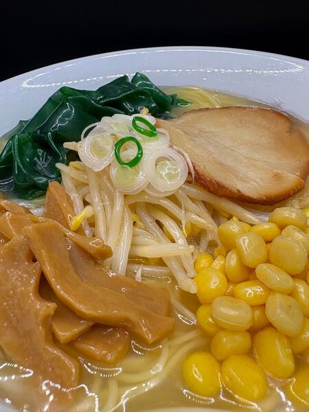 食品サンプル ラーメン3杯セット