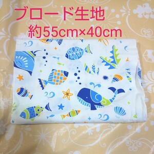 ブロード生地 お魚柄 はぎれ