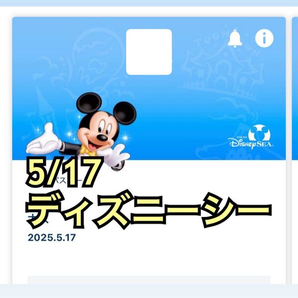 ディズニーシー オンラインショッピング用 入園済みチケット グッズ購入用 エコバッグ