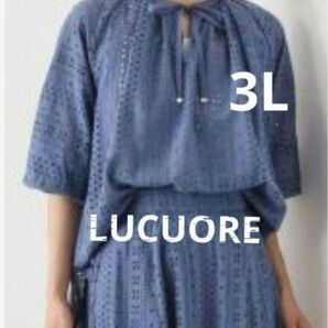 LUCUORE ルクオーレ 美品総アイレットレースブラウス新品未使用タグなし。