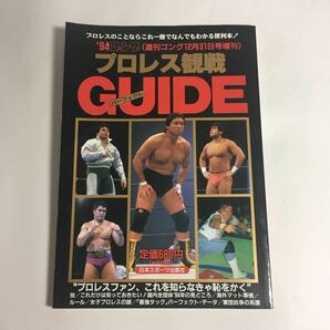 ☆ '94ゴング プロレス観戦パーフェクトガイド 週刊ゴング12月31日増刊 スタン・ハンセン ハルク・ホーガン テリー・ゴディ 他 ♪05 G5