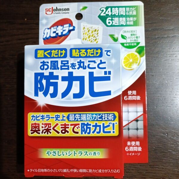 カビキラーお風呂を丸ごと防カビ 本体