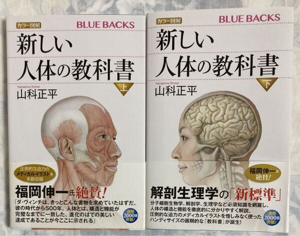 美品 カラー図解 新しい人体の教科書 上巻 下巻セット まとめ 山科正平/著