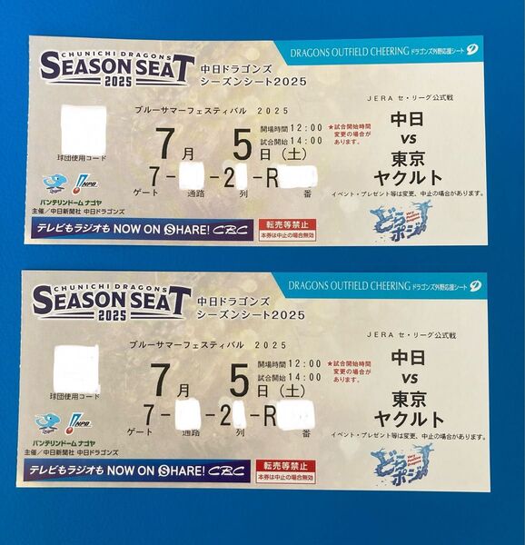 中日ドラゴンズ 東京ヤクルト ライト側外野応援席 ライスタ ペア(2連番)