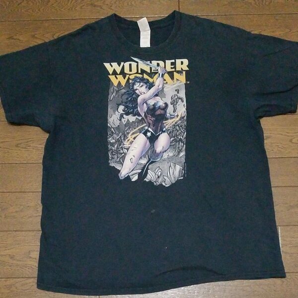 アメカジ プリントTシャツ GILDAN メンズ レディース XL NO-2590