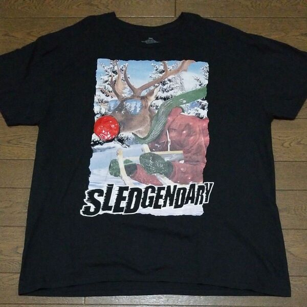 プリントデザインTシャツ メンズ レディース 3XL NO-2600