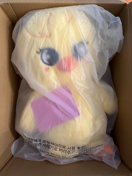 Stray Kids ポガリ テディベア フィリックス 5CLOCK ペンミ グッズ ぬいぐるみ