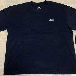 XXLサイズ 新品 NIKE DUNK ワッペンTシャツ ナイキ ダンク