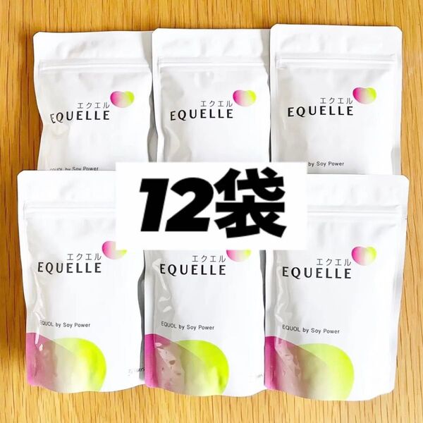大塚製薬 エクエル パウチ 120粒(30日分) × 12袋