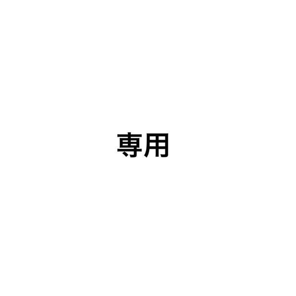 ※専用 耳ツボジュエリー