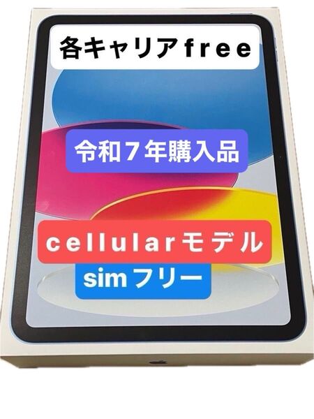 【新品未開封】Apple iPad A16 128GB cellularシムモデル2025年 simフリー