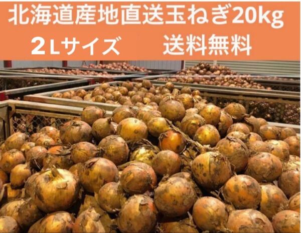北海道産地直送 たまねぎ20kg 2Lサイズ
