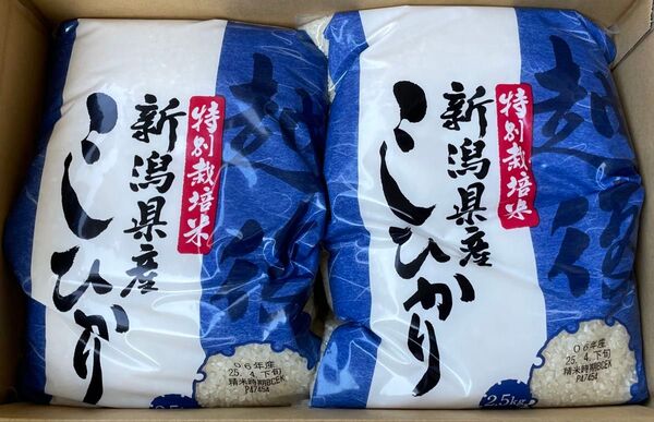 新潟県産こしひかり 特別栽培米 2.5kg 2袋