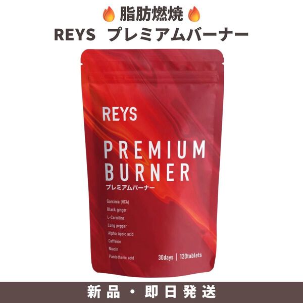 REYS レイズ PREMIUM BURNER プレミアムバーナー 120粒