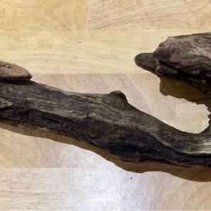 縦長の形の良い流木です♪アク抜きはしていません ガーデニングの装飾品として 水槽など色々GOOD♪