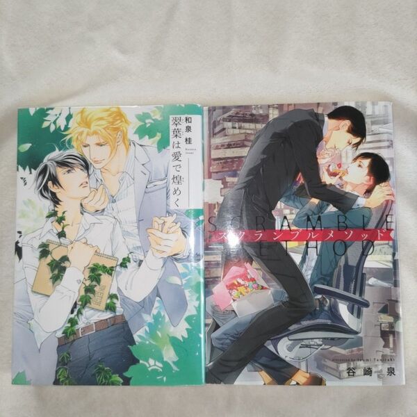 BL 小説 スクランブルメゾット 谷崎泉 笠井あゆみ 翠葉は愛で煌めく 和泉桂 蓮川愛