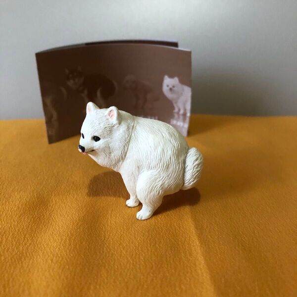 ふんばりーぬ ポメラニアン カプセルトイ ガチャ