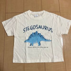 韓国服 vivid-i s 半袖 Tシャツ ダイナソー 恐竜 ステゴザウルス