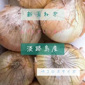 現品限り 淡路島産 新玉ねぎ ペコロスサイズ 農家直送 新鮮な早生玉ねぎ 無農薬