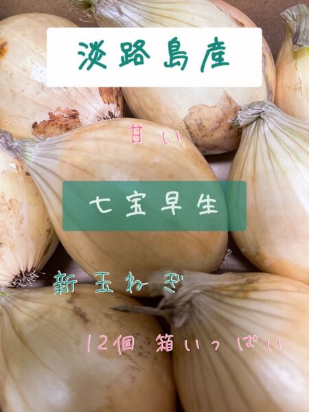 淡路島産 新玉ねぎ 七宝早生 無農薬