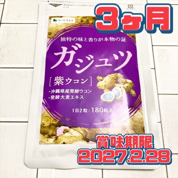 ガジュツ サプリメント 3ヶ月
