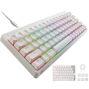 エレコム ゲーミングキーボード V-custom VK300S 有線 RGB テンキーレス 65%サイズ