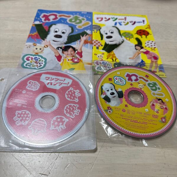 わ〜お!&ワンツー!パンツー! DVDセット いないいないばあっ! ケースなし