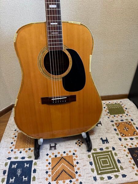 【鳴り良好・整備済】Thomson D-28タイプ アコースティックギター ソフトケース付