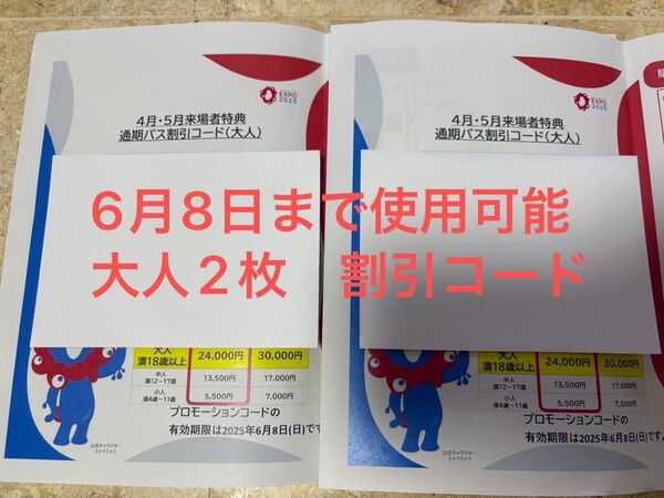 【新品12時間以内発送】関西万博通期パス割引コード 大人2枚 プロモーションコード