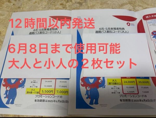 【12時間以内発送】関西万博通期パス割引コード 大人小人セット 大人 子供