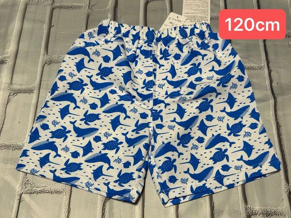 魚 クジラ サメ カメ水着 男の子 120cm 海水パンツ 水泳パンツ 海 プール