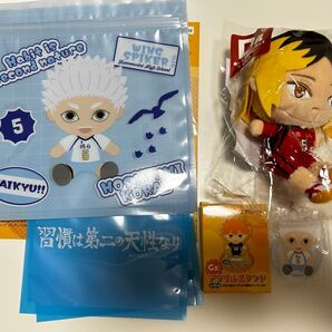 ハイキュー フリューくじ ぬいもっち