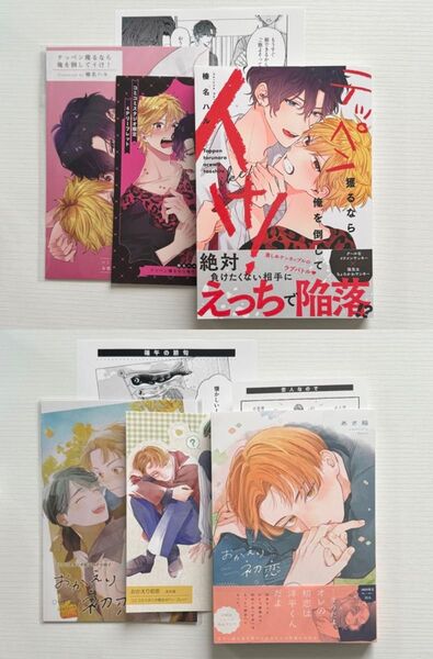 テッペン獲るなら俺を倒してイけ! おかえり初恋