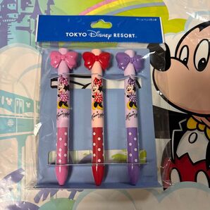 新品 ディズニー ミニー ボールペン リボン 水玉 リゾート 赤 黒 ボールペンセット