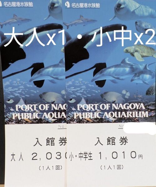 名古屋港水族館入館券 大人1枚 小中学生2枚