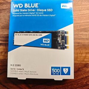 Western Digital 500GB WD Blue PC M.2-2280 SATA WDS500G2B0B-EC