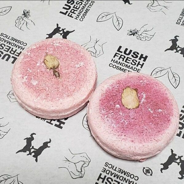 新品未使用 LUSH エンジェルヘア シャンプーバー 固形シャンプー 55g 2個セット