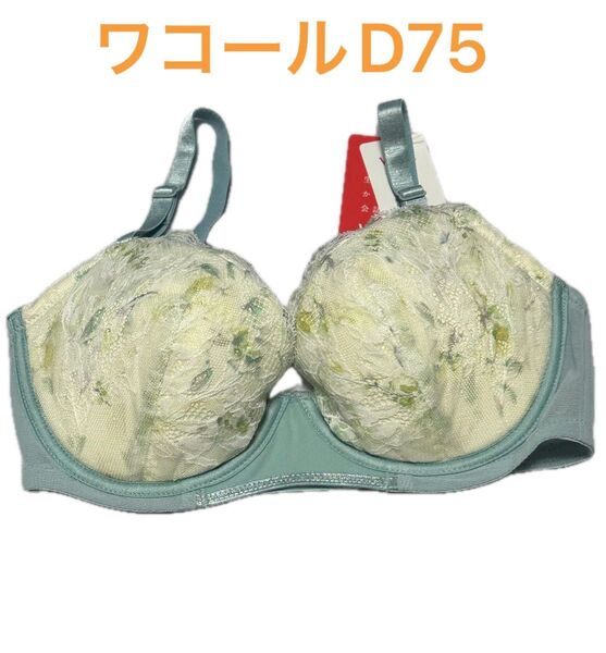 ワコール ウイング ブラジャー D75 マッチミーブラ 3/4カップ