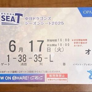 6月17日火曜日 中日オリックス戦