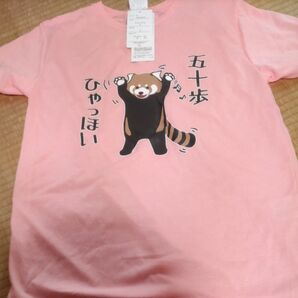 おもしろTシャツ、あらいぐま
