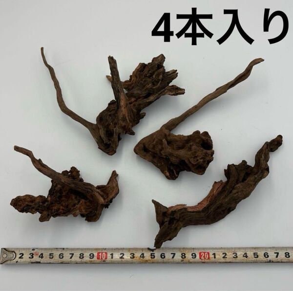 ① 洗浄済み 流木 SSサイズ 4個入り アクアリウム 観賞魚 テラリウム 水槽