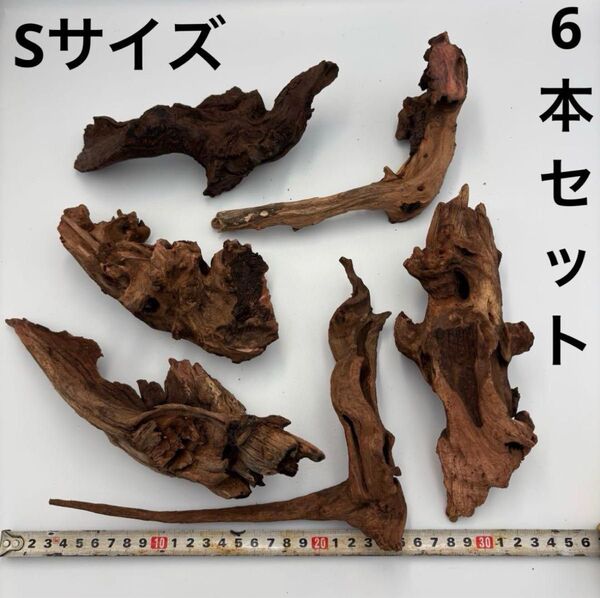 ⑨ 洗浄済み 流木 Sサイズ 6個入り アクアリウム 観賞魚 水槽レイアウト 大きめ