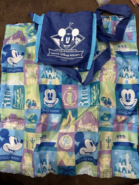 ディズニーランドリゾート エコバッグ