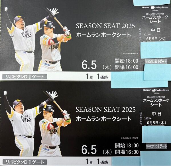 6月5日 木曜日 vs 中日 ソフトバンクホークスチケット ホームランホークスシート 連番