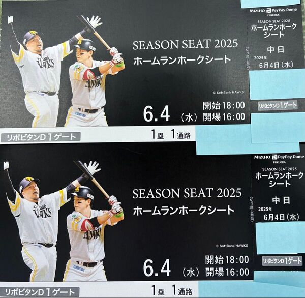 6月4日 水曜日 vs 中日 ソフトバンクホークスチケット ホームランホークスシート 連番
