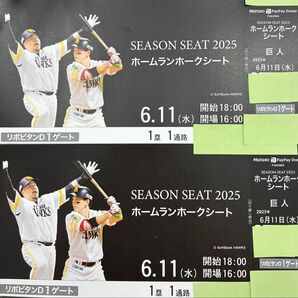 6月11日 水曜日 vs 巨人 ソフトバンクホークスチケット ホームランホークスシート 連番