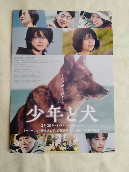 少年と犬 映画チラシ フライヤー