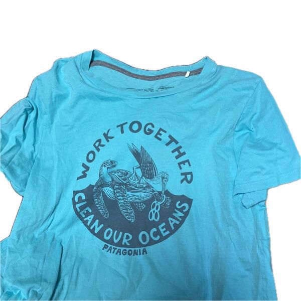パタゴニア patagonia フロント プリント デザイン 半袖 クルーネック Tシャツ 半袖シャツ サックス XS