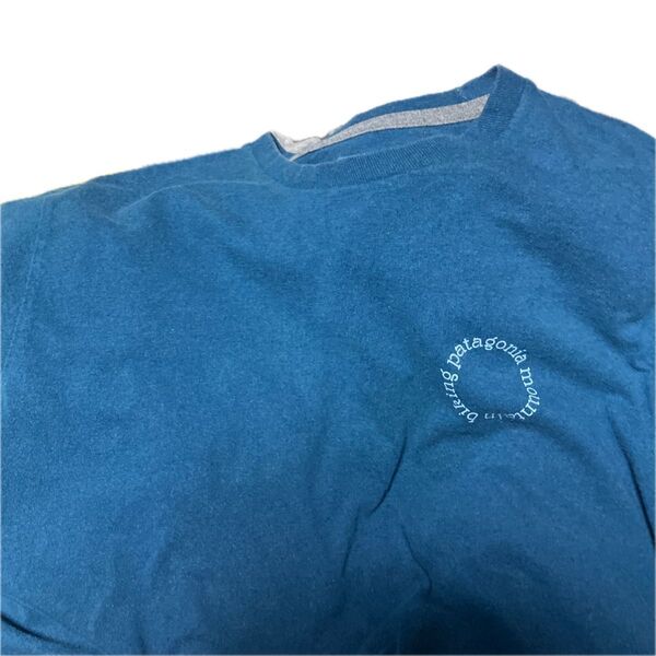 雰囲気抜群 Patagonia パタゴニア クルーネック 半袖 バックプリント Tシャツ 半袖シャツ ブルー M