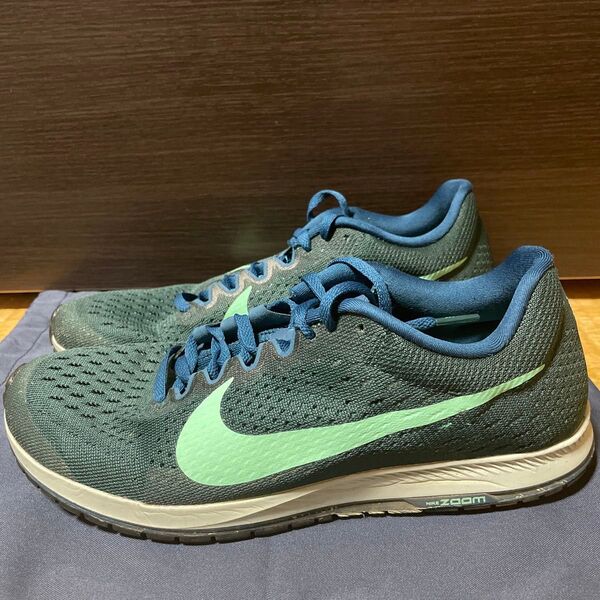 ナイキ NIKE ズームストリーク6 27.0cm